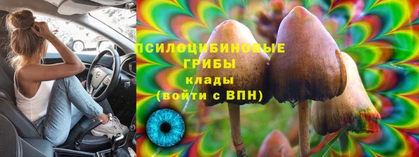 стафф Вяземский